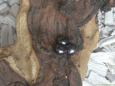 Zoetwarerparel met halfgeboord gat, 10mm, paars-bruin