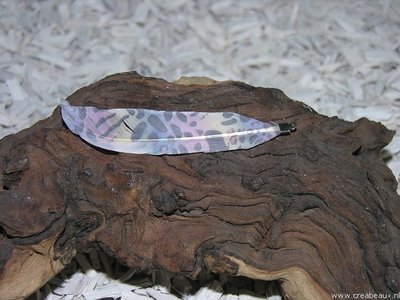 Veren versierd met print, ca 125x40mm, multicolor