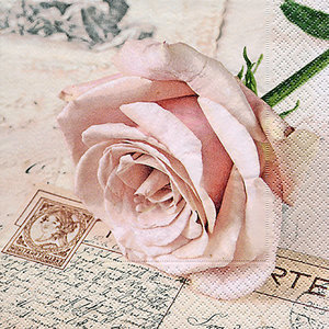 P+D servet Rose auf Postkarte, 33x33cm, design 21704