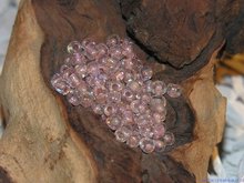 Rocailles 6/0, 4mm, oud roze