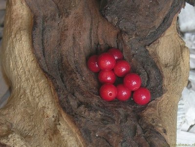 Natuursteen met halfgeboord gat, 6mm, koraal
