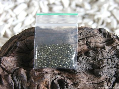 Knijpkralen, 2mm, oudgoudkleur