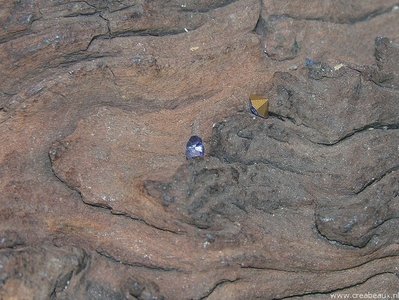 Similisteen SS16, 3,8mm, tanzanite