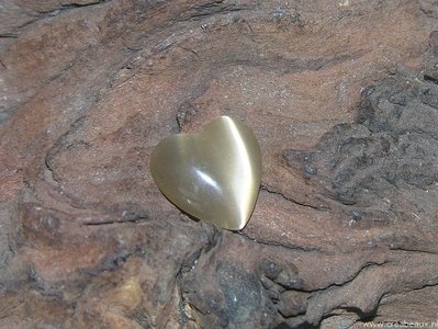 Hartje plaksteen cateye, 10x14mm, transparant